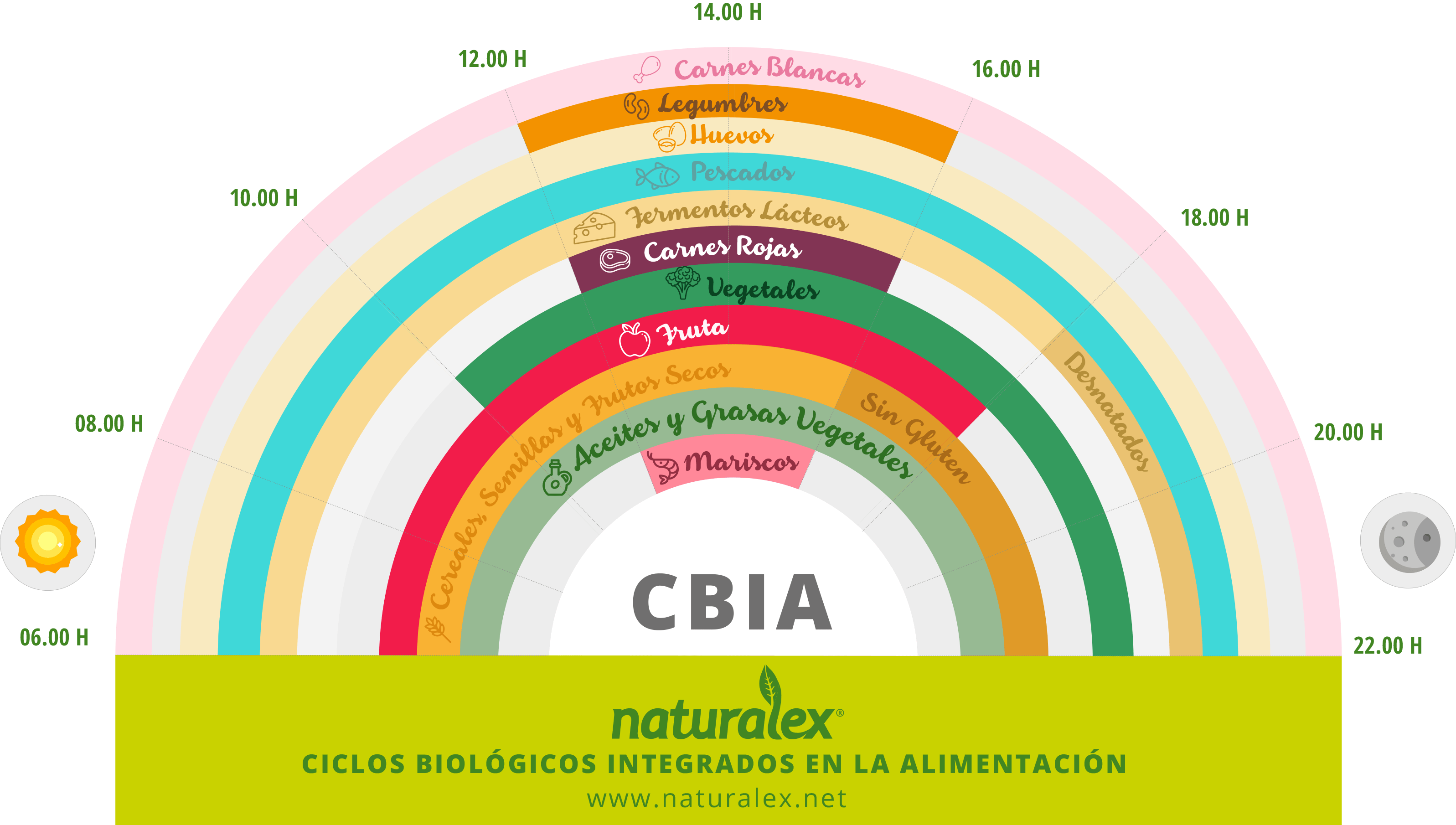 Sistema EMI-CBIA de Naturópata Murcia Alejandro Ordás